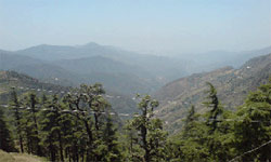 Dhanaulti Hills