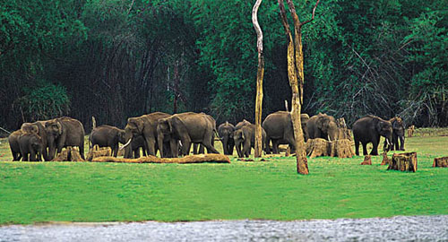kerala Backwater Tours packages